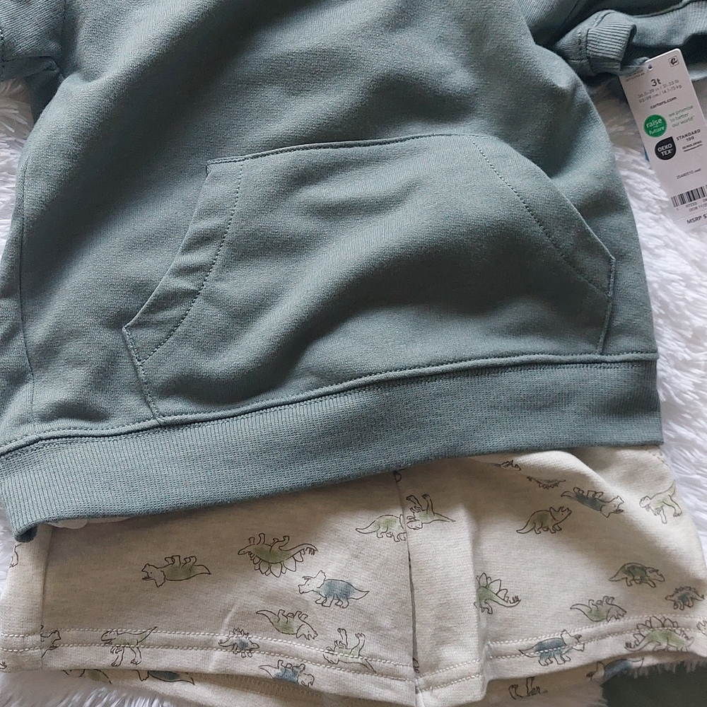 Carter's Olive Hoodie and Shorts Set